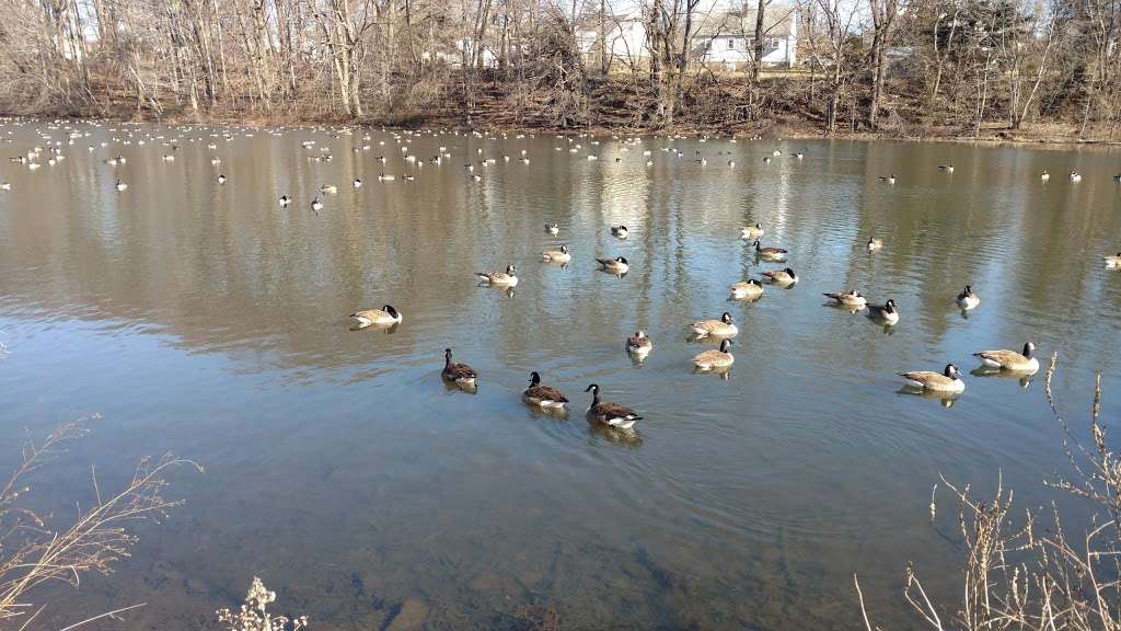 Clarks Pond | Bloomfield, NJ 07003, USA