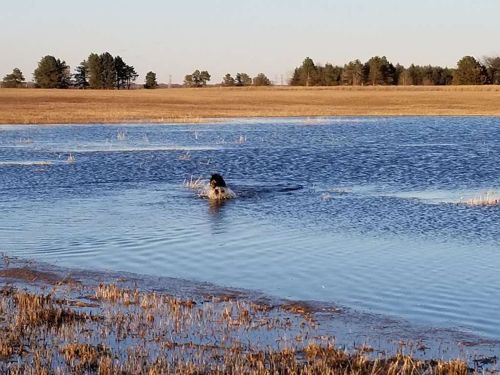 Fermilab Dog Training Area | Batavia Rd, Warrenville, IL 60555, USA | Phone: (630) 840-4845