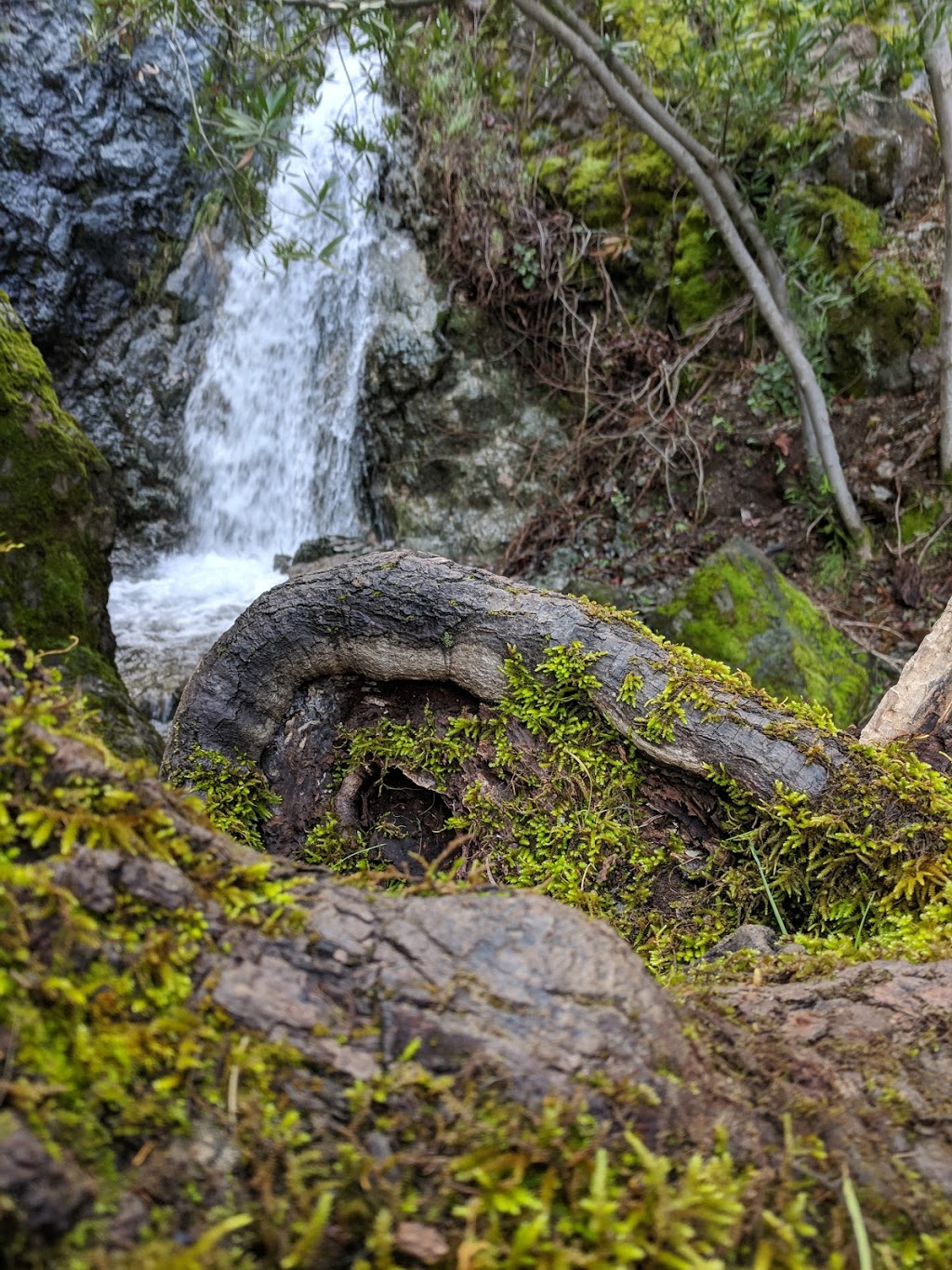 Mount Diablo State Park | Summit Rd, Walnut Creek, CA 94598, USA | Phone: (925) 837-2525