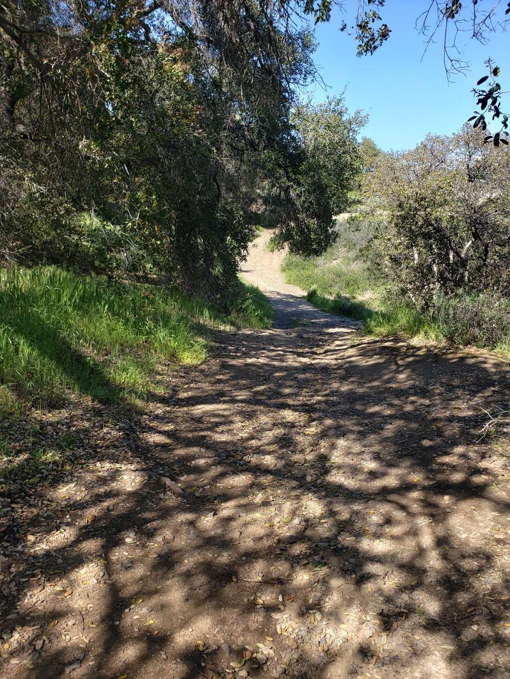 Cole Canyon Trail | 23173 Wiashal Trail, Murrieta, CA 92562, USA