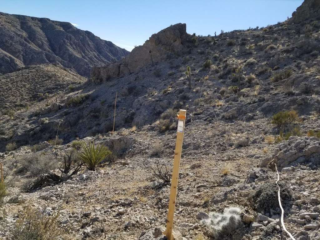 Columbia Pass Area | Nevada 89019, USA