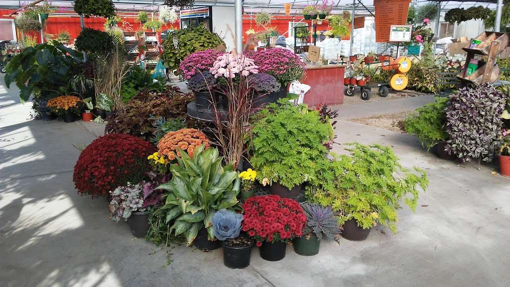 Hoffman Garden Center | 30699 US-12, Volo, IL 60073, USA | Phone: (815) 344-1990