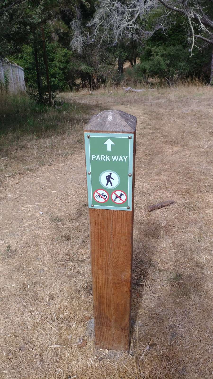 Audrey Stanley Grove Trailhead (Hikers Only) | Santa Cruz, CA 95065, USA