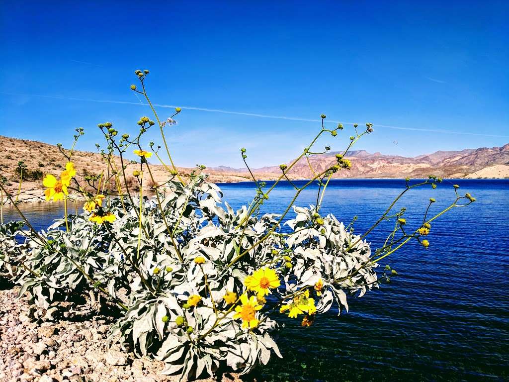 Senic Blue Water Point | Searchlight, NV 89046, USA