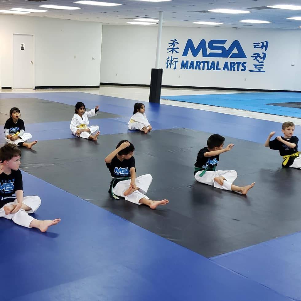 MSA Martial Arts | 6350 Glenview Dr #104, North Richland Hills, TX 76180, USA | Phone: (817) 962-8802