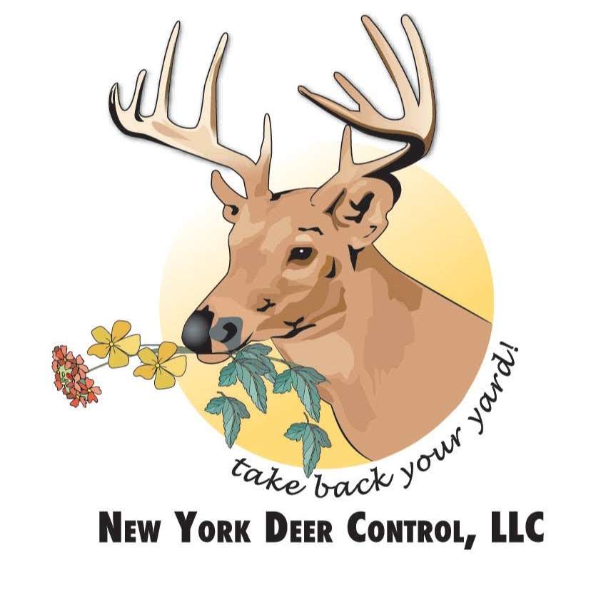 New York Deer Control | 321 NY-59 # 387, Tallman, NY 10982 | Phone: (845) 570-9637