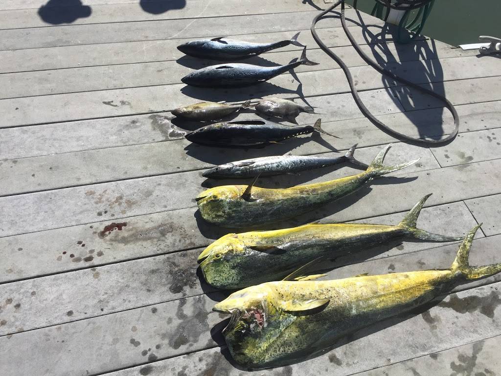 E-FishinSea Sport Fishing Charters Virginia Beach | 527 Winston Salem Ave, Virginia Beach, VA 23451 | Phone: (757) 985-6255