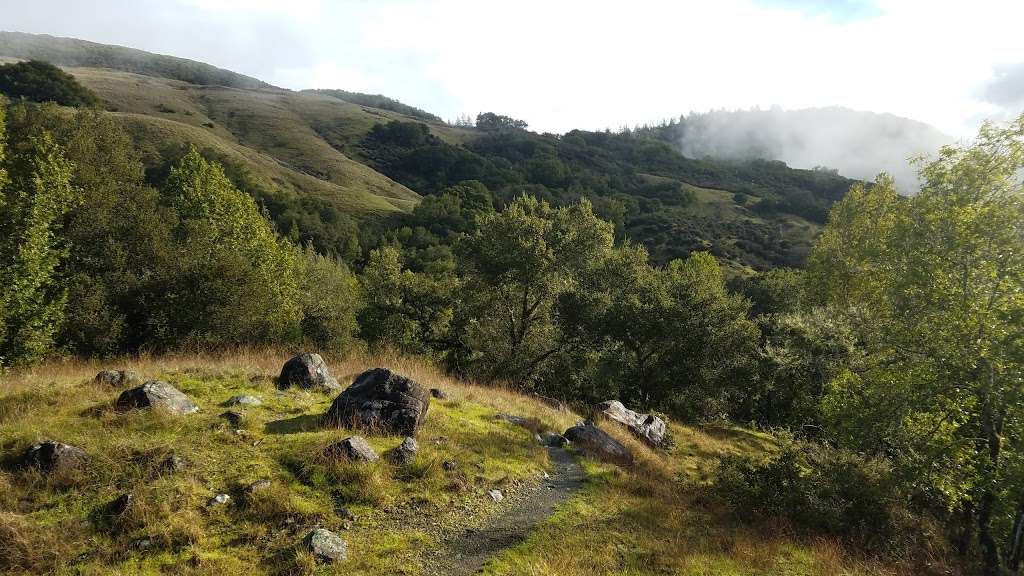 Cascade Canyon Open Space Preserve | Fairfax, CA 94930, USA | Phone: (415) 473-2816