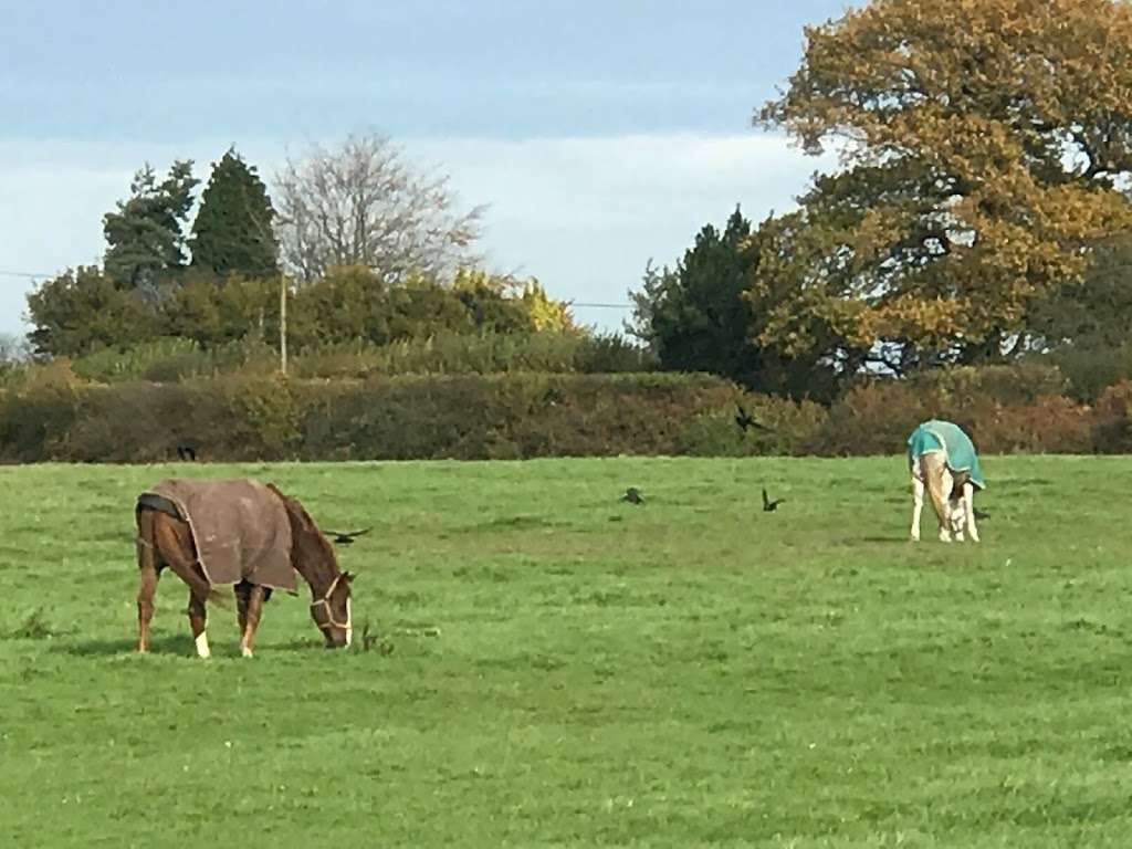 Olivers Farm Horse Rug Laundry | Unit 5, Hill Park Farm, Wrotham Hill Rd, Sevenoaks TN15 7PX, UK | Phone: 07967 097565