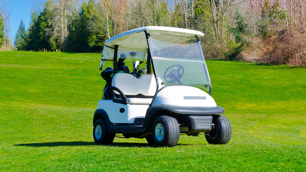 North Branch Golf Cart Sales & Service | 515 E Berlin Rd, York Springs, PA 17372, USA | Phone: (717) 495-8879