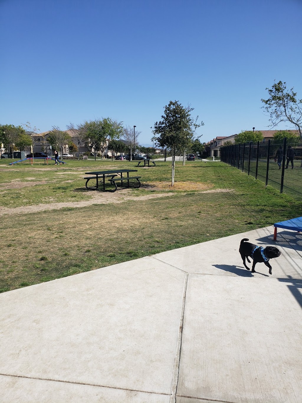 Windrow Off-leash Dog Park | 764 Nile River Dr, Oxnard, CA 93036, USA