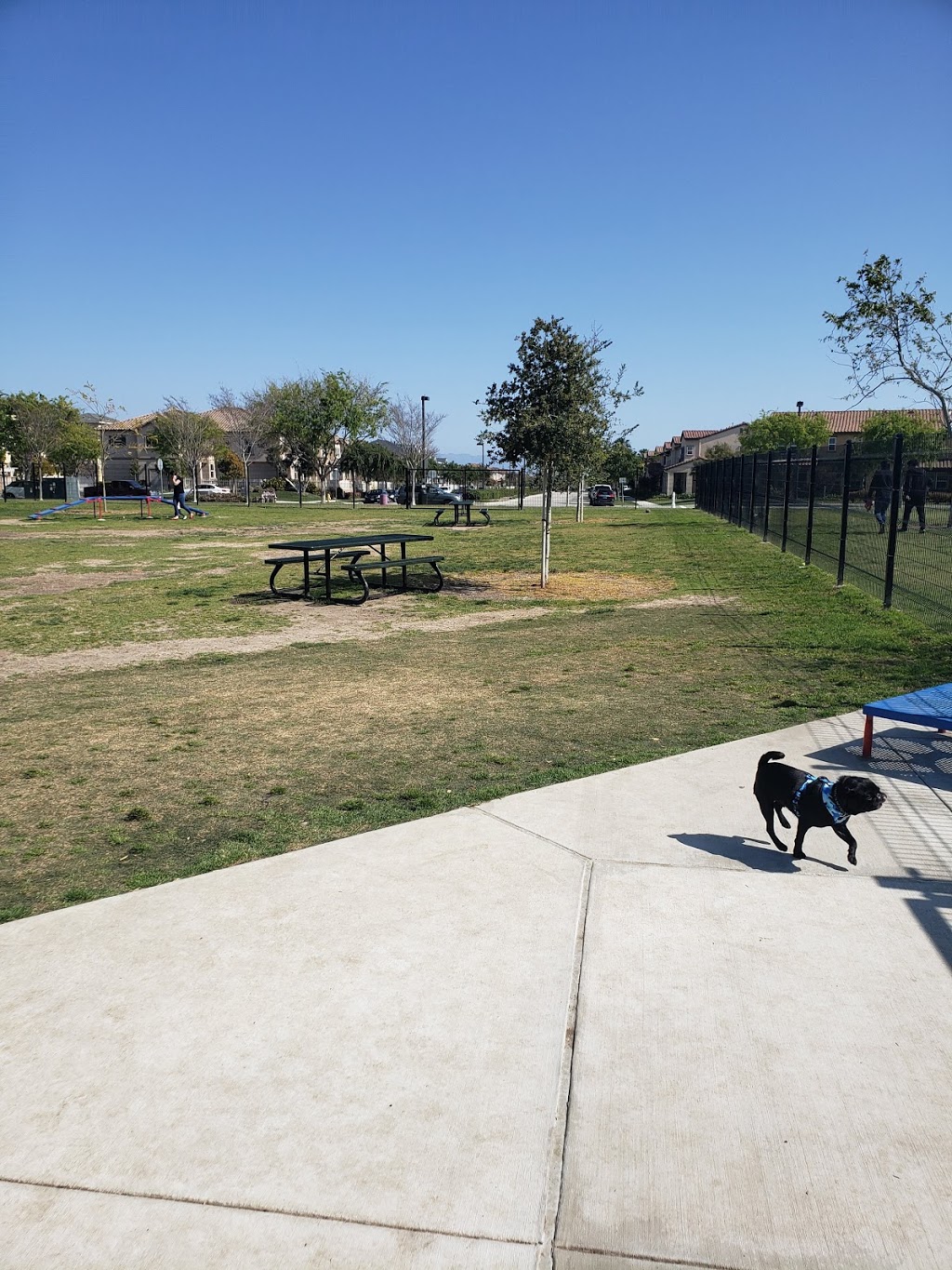 Windrow Off-leash Dog Park | 764 Nile River Dr, Oxnard, CA 93036