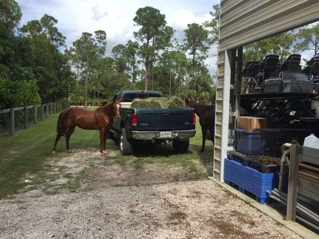 All In Horsemanship, LLC | 12550 170th Rd N, Jupiter, FL 33478 | Phone: (561) 427-9751