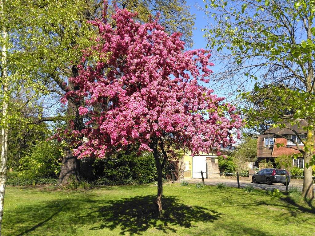 Tooting Bec Common | 45 Tooting Bec Gardens, London SW16 1RF, UK