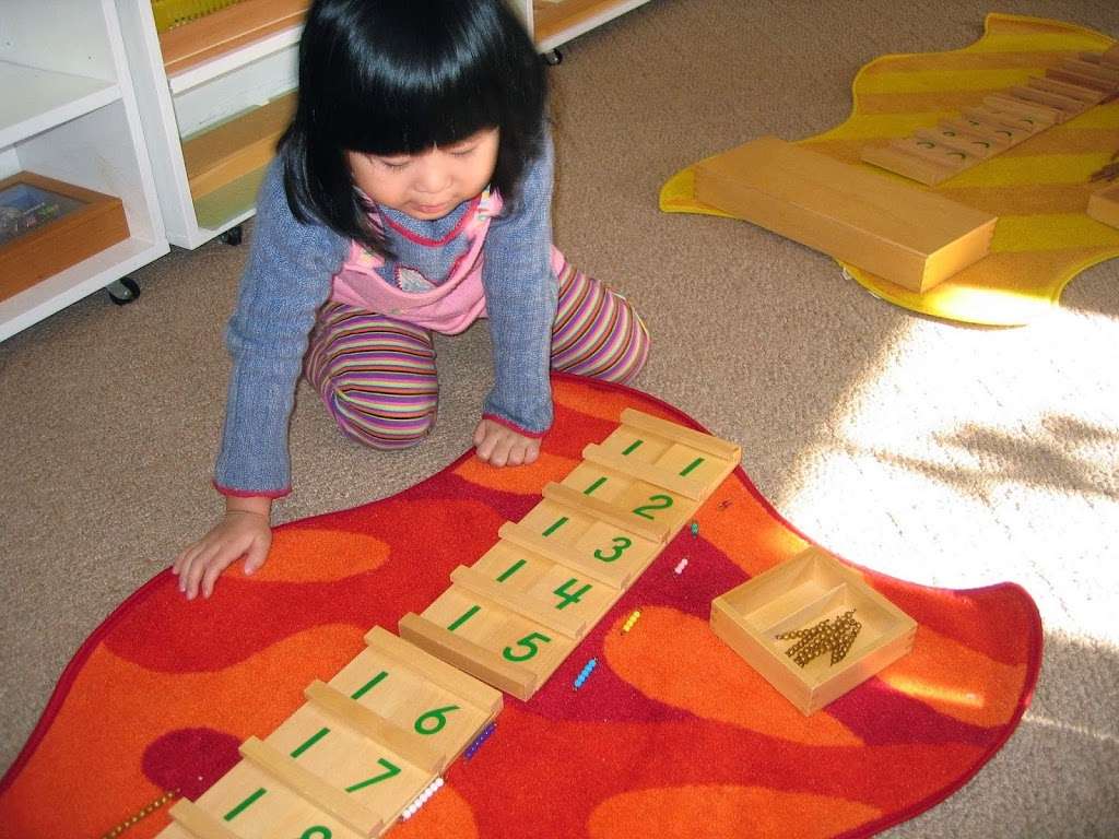 Little Genius Montessori Center | 14315 Marian Dr, Rockville, MD 20850, USA | Phone: (301) 738-7851