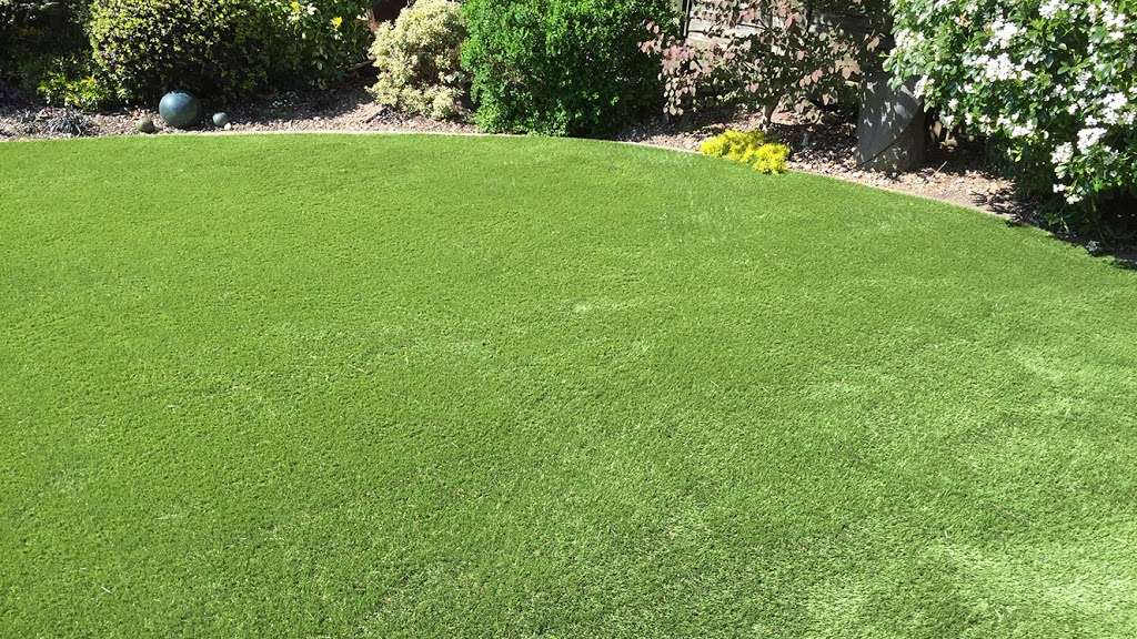 Maze Grass UK in Lower Bedfords Rd, Romford RM1 4DQ, UK