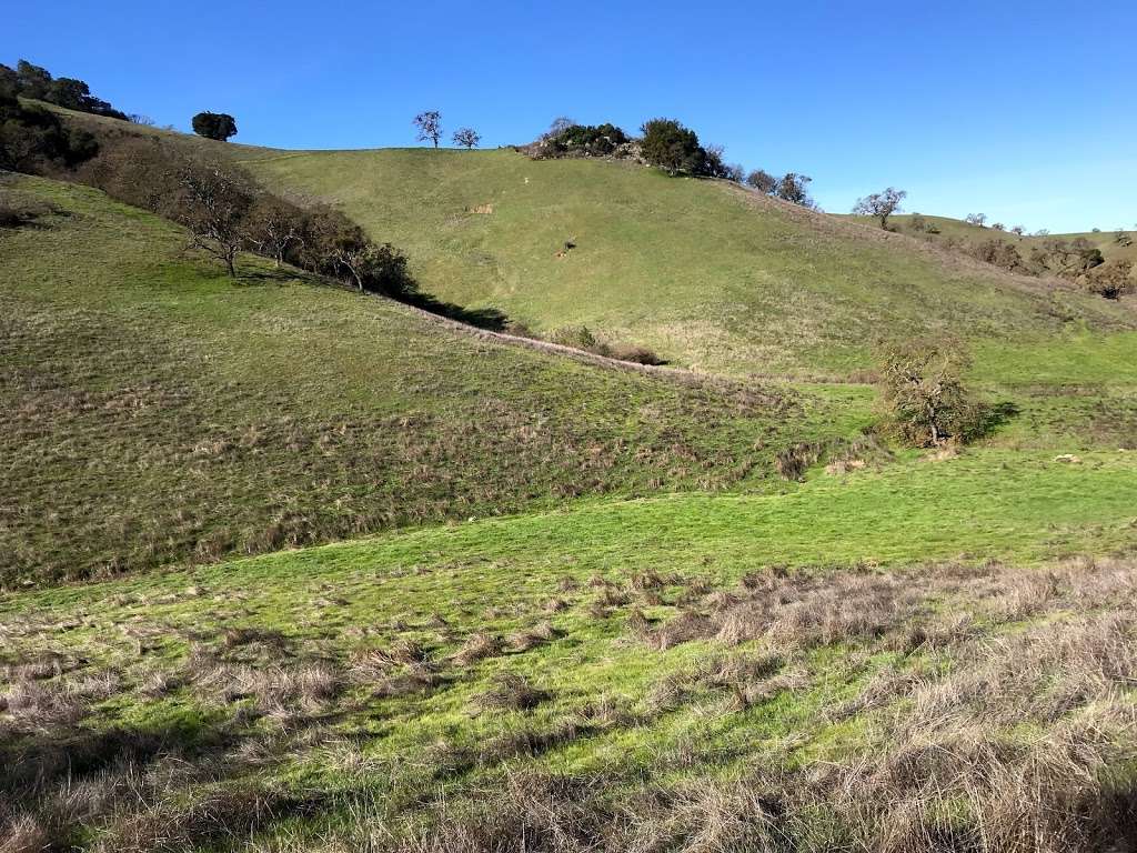 Coyote Valley Open Space Preserve | 550 Palm Ave, Morgan Hill, CA 95037, USA | Phone: (408) 224-7476