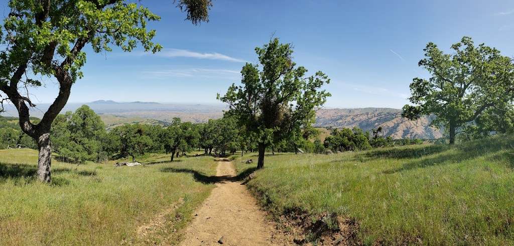 Ohlone Regional Wilderness | Sunol, CA 94586, USA | Phone: (888) 327-2757