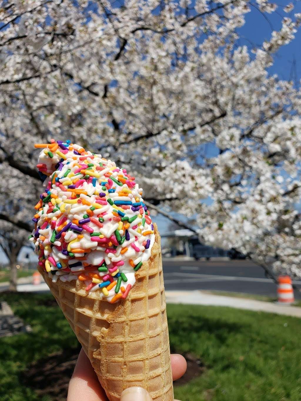 Cindys Soft Serve | 6330 Washington Blvd, Elkridge, MD 21075, USA | Phone: (410) 796-3349