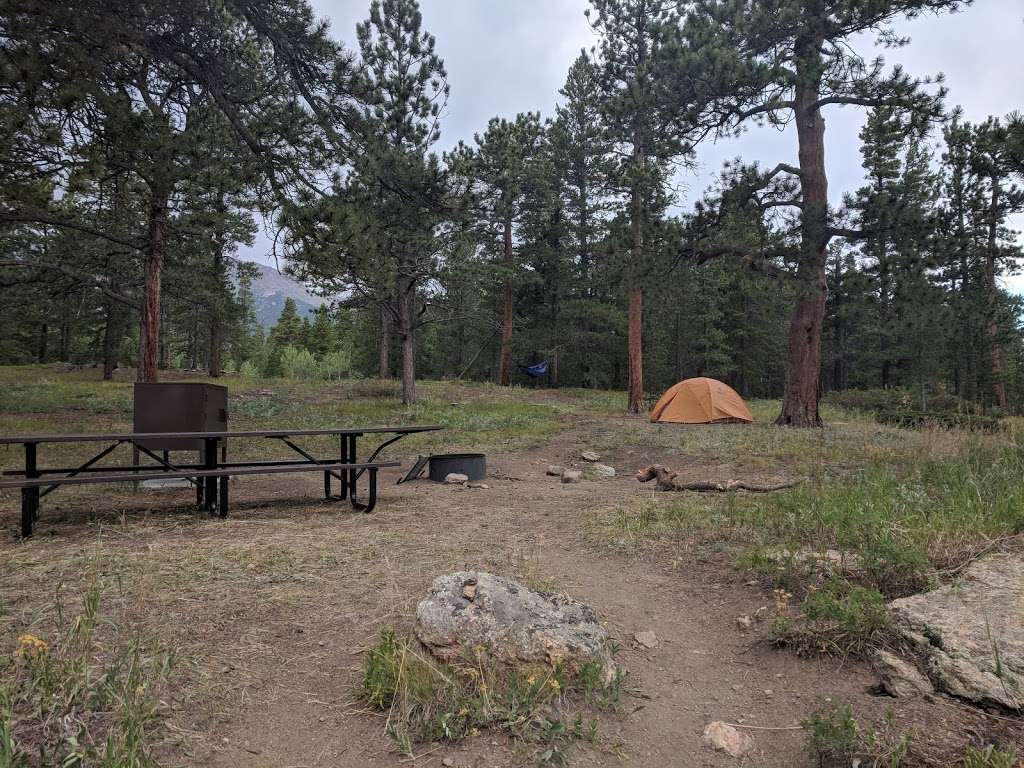 Meeker Park Overflow Campground | Forest Rd 121, Allenspark, CO 80510