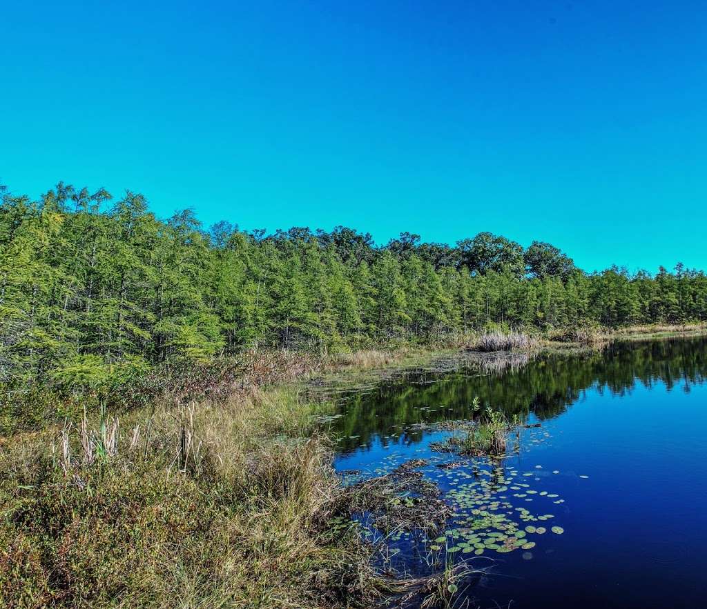 Beulah Bog State Natural Area | Stringers Bridge Rd, East Troy, WI 53120, USA | Phone: (608) 266-0394