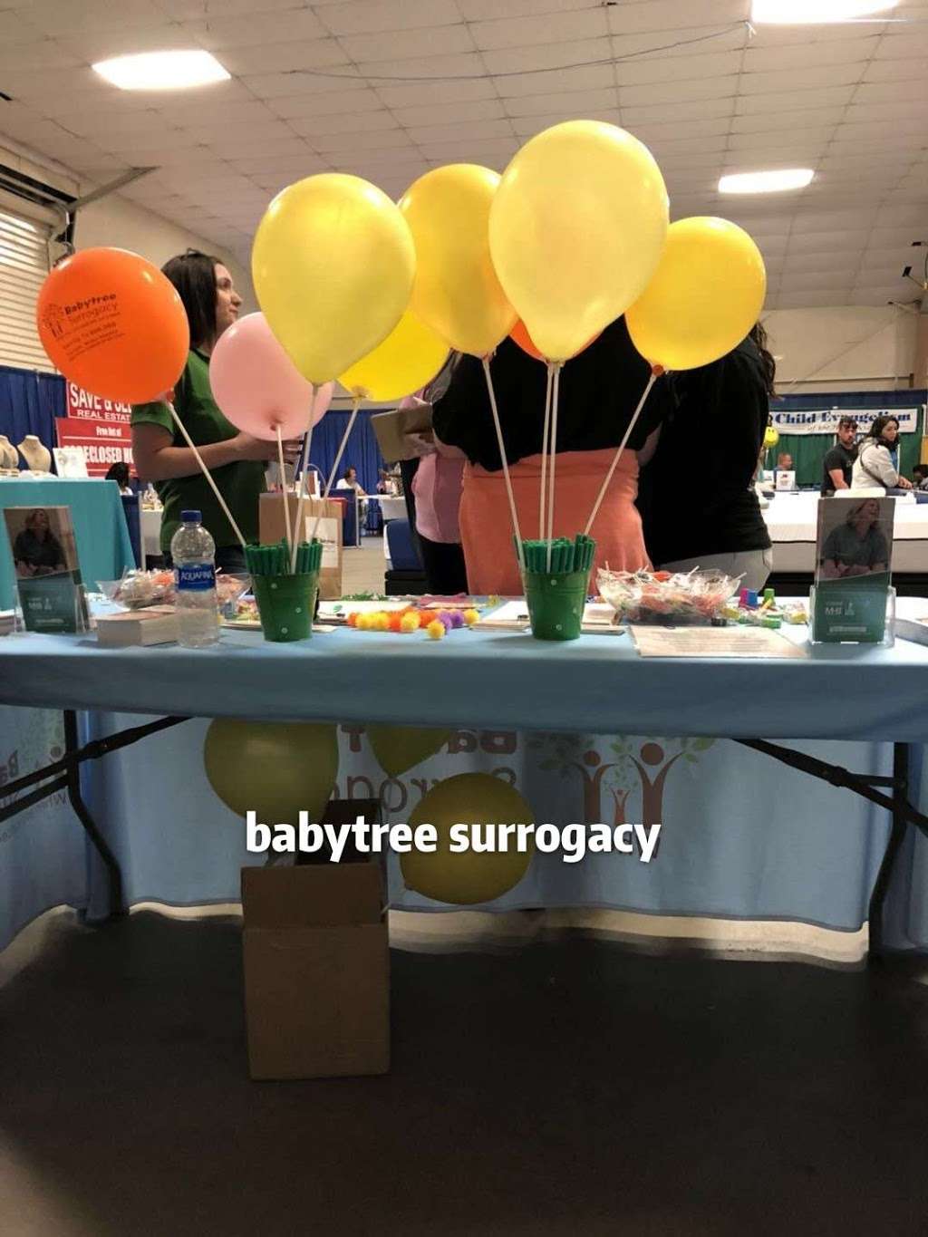 Babytree Surrogacy Apple Valley | 14560 Palmdale Rd, Victorville, CA 92392 | Phone: (909) 313-2020