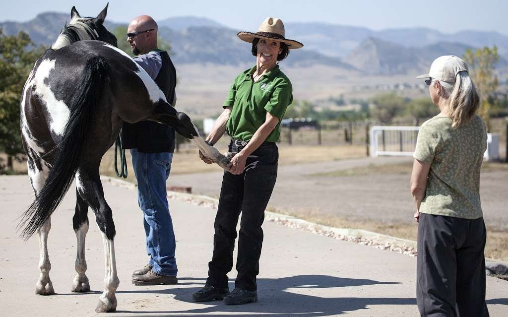 Colorado Equine Clinic | 9616 W Titan Rd, Littleton, CO 80125, USA | Phone: (303) 791-4747