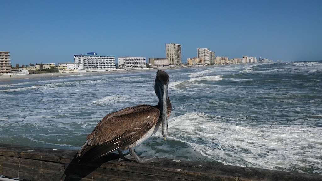 Sunglow Fishing Pier | 3701 S Atlantic Ave, Daytona Beach, FL 32118, USA | Phone: (386) 756-4219