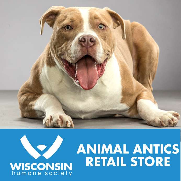 Animal Antics at WHS Racine Campus | 2706 Chicory Rd, Racine, WI 53403, USA | Phone: (262) 554-6699