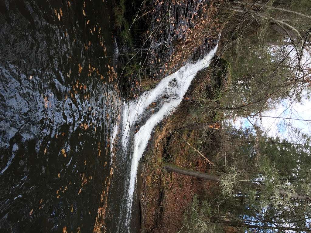 Hornbecks Trail | Hornbecks Creek, 18328, Dingmans Ferry, PA 18328, USA