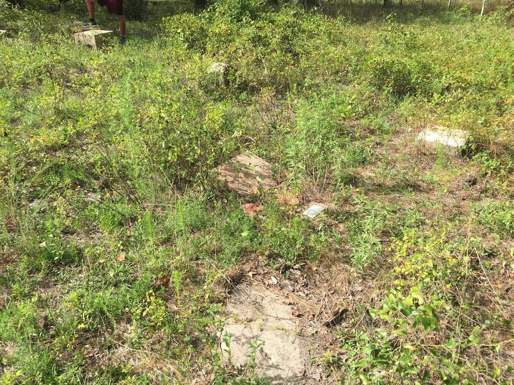 HillendahlEggling (Blue Light) Cemetery in Bear Creek to Langham Creek