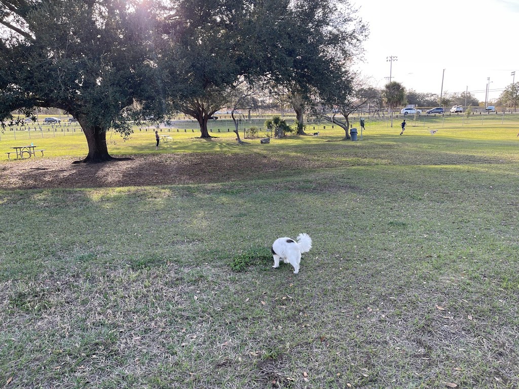 Mango Dog Park | 11717 Clay Pit Rd, Seffner, FL 33584, USA | Phone: (813) 635-7489