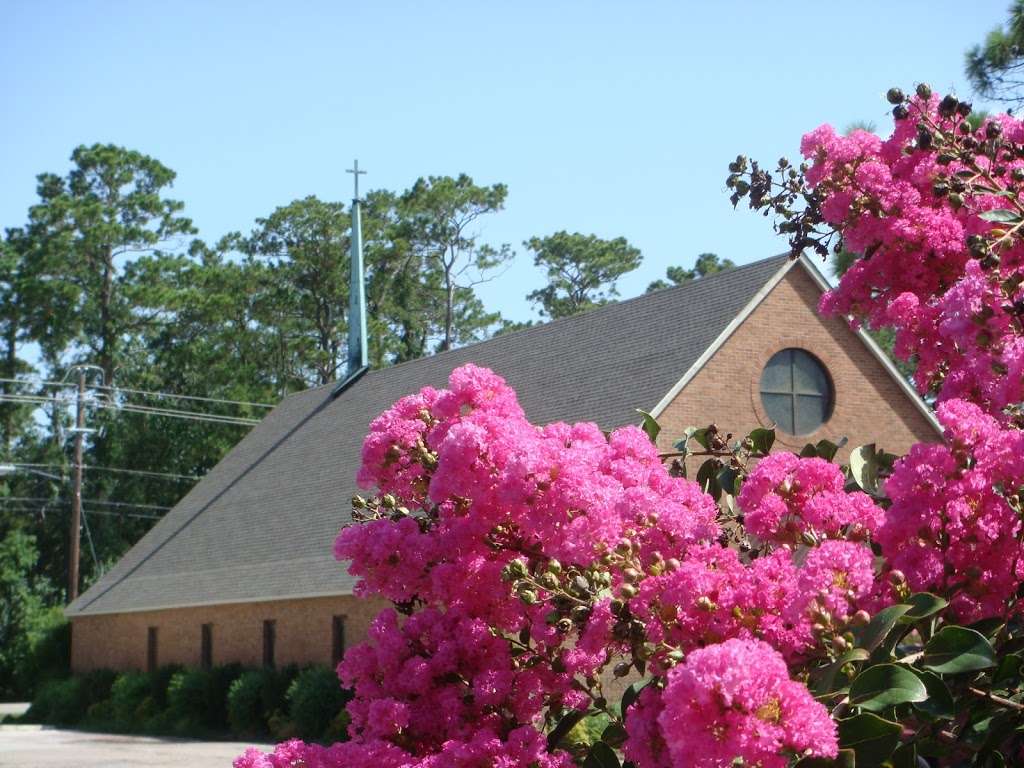 Faith Lutheran Church | 800 FM 517 Rd E, Dickinson, TX 77539, USA | Phone: (281) 534-3569