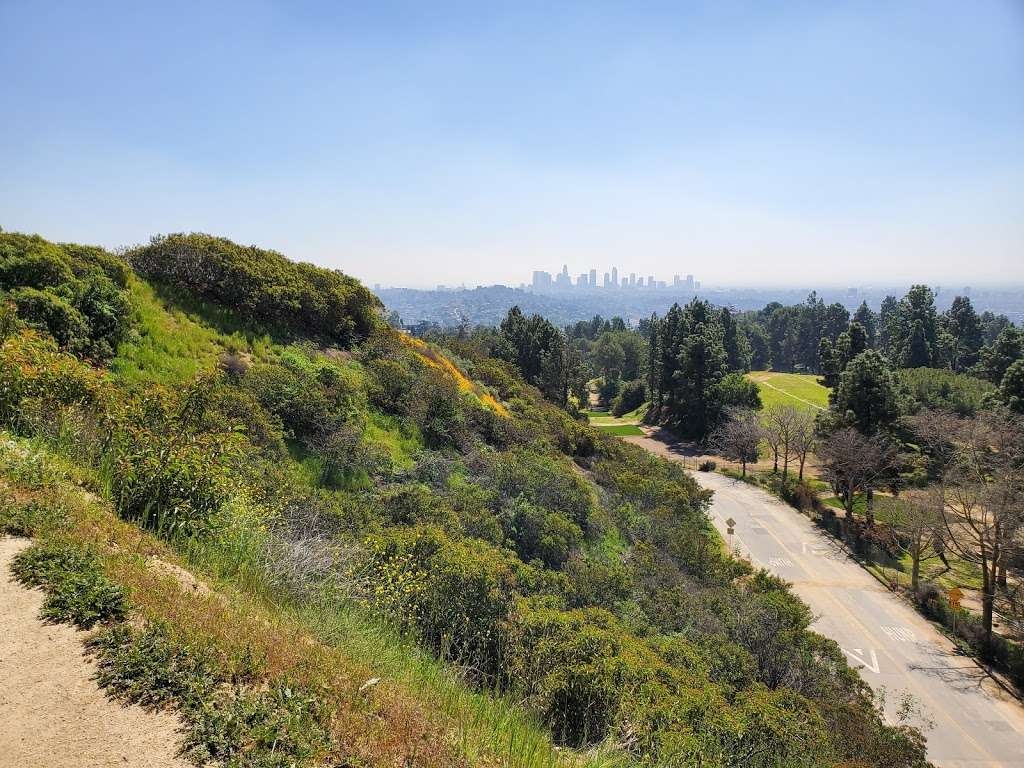 Griffith Park Trails | 2715 N Vermont Canyon Rd, Los Angeles, CA 90027, USA