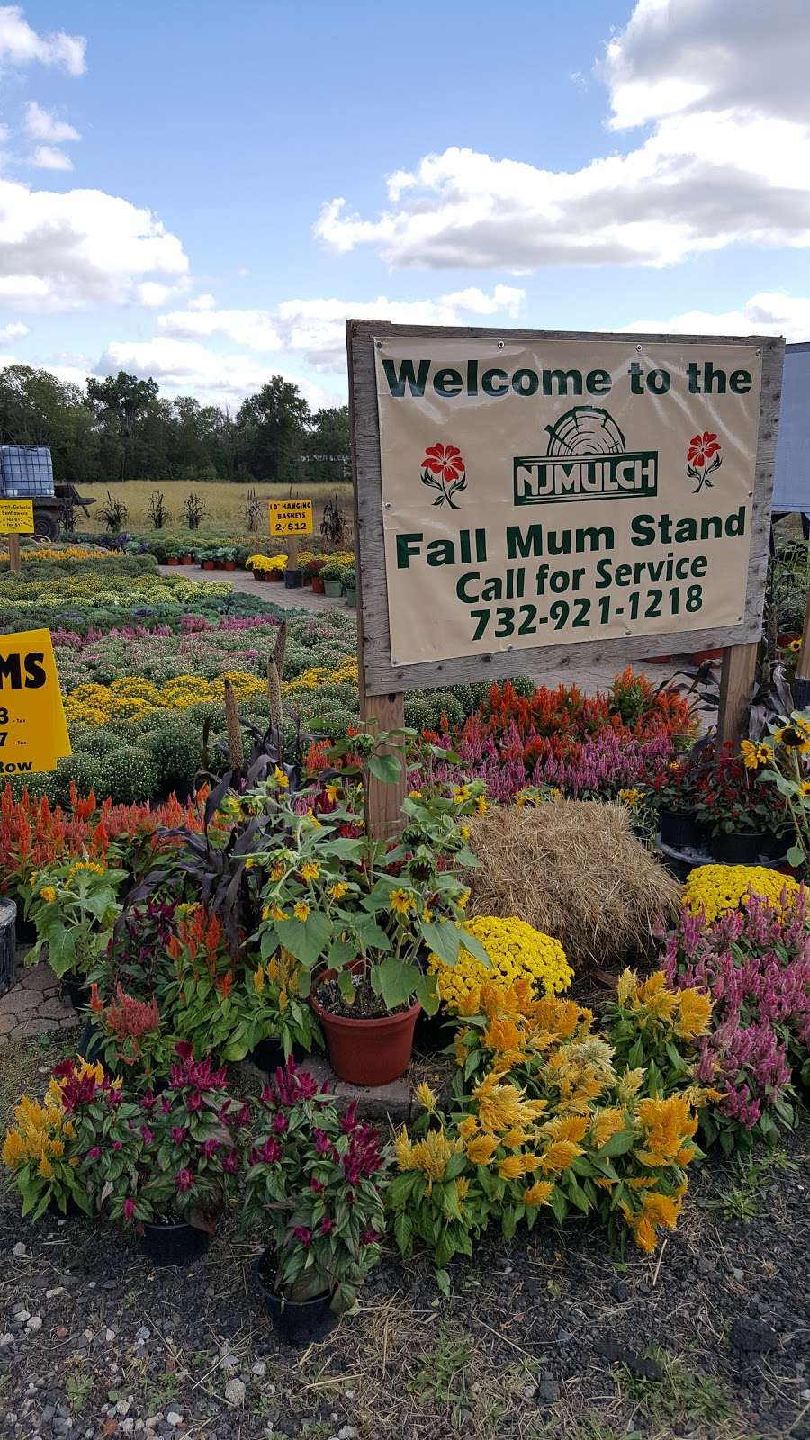 NJMulch | 32 Reading Blvd, Belle Mead, NJ 08502 | Phone: (732) 921-1218