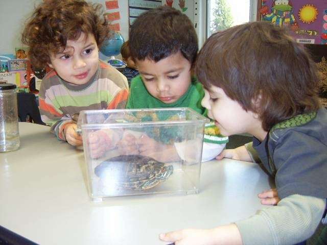 Tobay Cooperative Nursery School | 140 Syosset-Woodbury Rd, Syosset, NY 11791, USA | Phone: (516) 921-1440