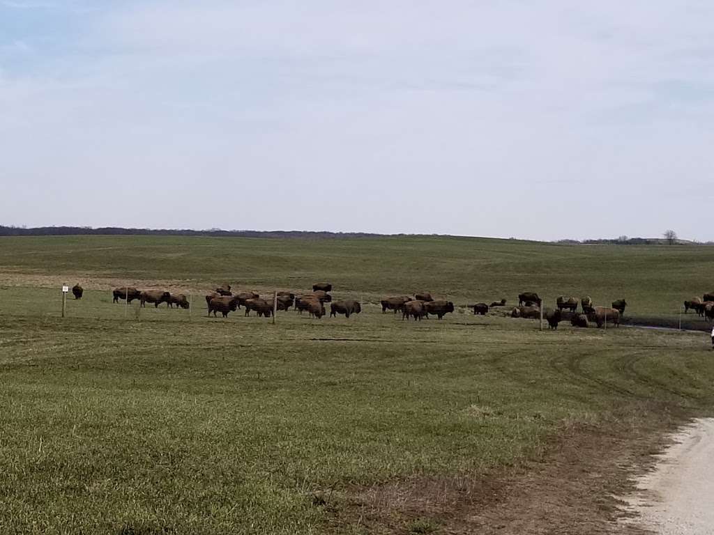 Midewin National Tallgrass Prairie Visitor Center | 30239 IL-53, Wilmington, IL 60481, USA | Phone: (815) 423-6370