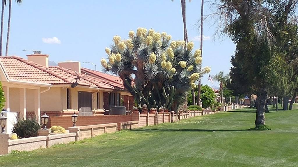Sunland Village East Golf Course | 2250 S Buttercup, Mesa, AZ 85209 | Phone: (480) 986-4079