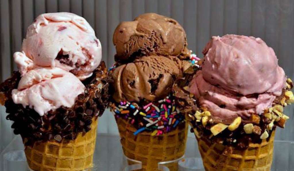 Yummy Dogs | 577 Deltona Blvd, Deltona, FL 32725, USA | Phone: (386) 259-9729