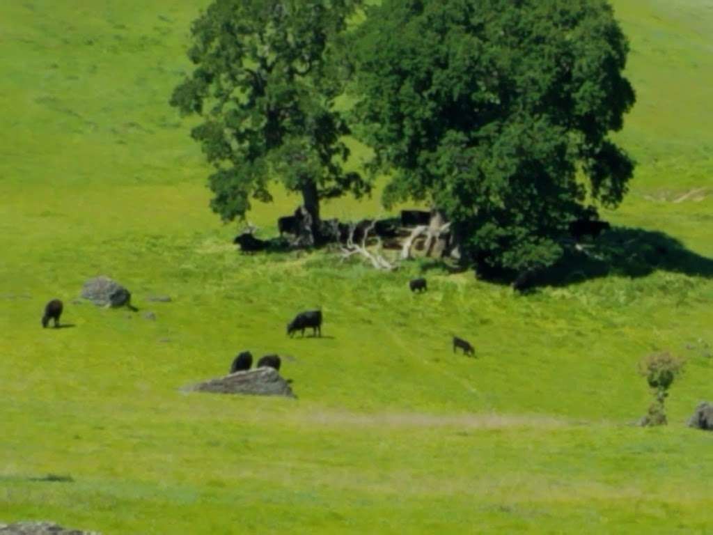 Browns Valley Opens Space Preserve | Vacaville, CA 95688, USA