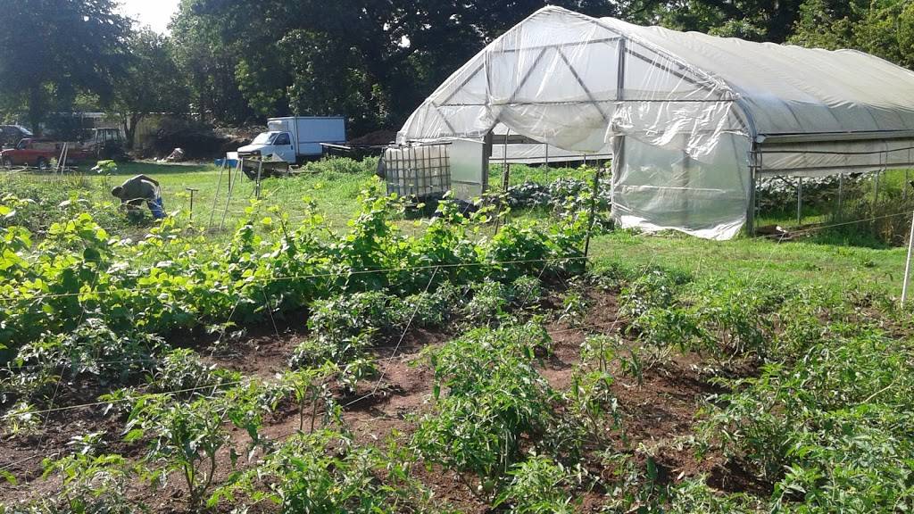 Metro Atlanta Urban Farm | 3271 Main St, College Park, GA 30337, USA | Phone: (404) 788-2432