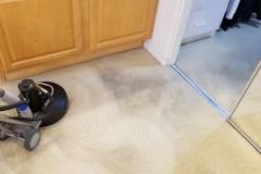 Horton Carpet Cleaning | 12424 S 37th Ct, Phoenix, AZ 85044, United States | Phone: (602) 300-5986