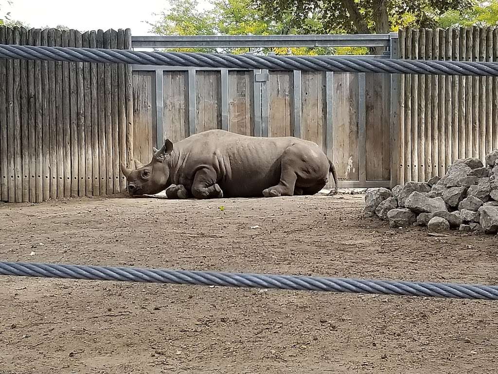 Lincoln Park Zoo Regenstein Center For African Apes | 2058-2156 N Cannon Dr, Chicago, IL 60614, USA | Phone: (312) 742-2000