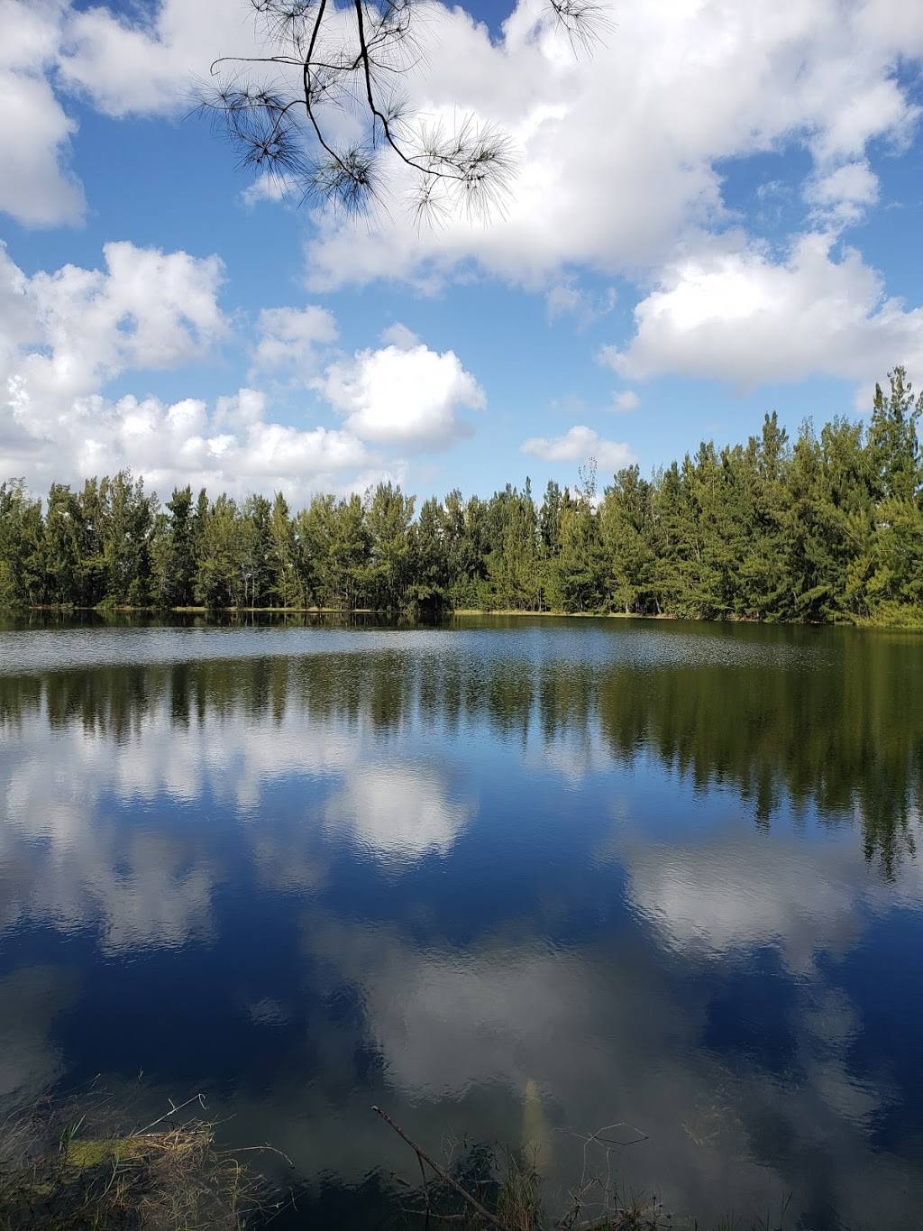 Silver Lakes Rotary Nature Park | 5695 SW 52nd Ave, Davie, FL 33314, USA | Phone: (954) 797-1147