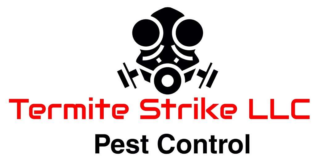 Termite Strike LLC | 2716 NW 56th St, Miami, FL 33142, USA | Phone: (305) 926-5825