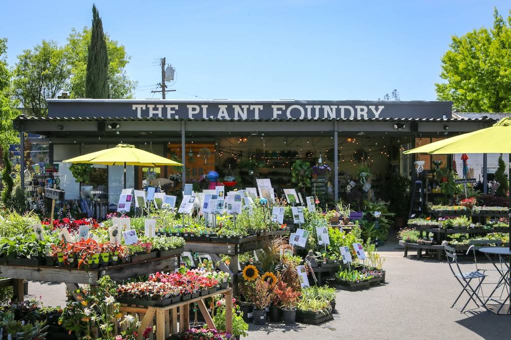 The Plant Foundry | Nursery & Store | 3500 Broadway, Sacramento, CA 95817 | Phone: (916) 917-5787