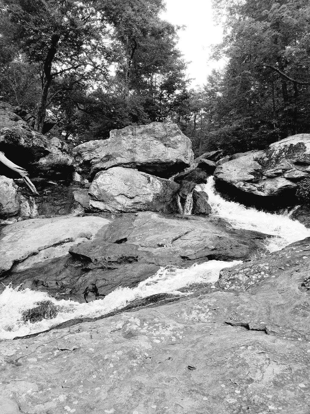 Cunningham Falls - northern trailend viewpoint | Smithsburg, MD 21783, USA