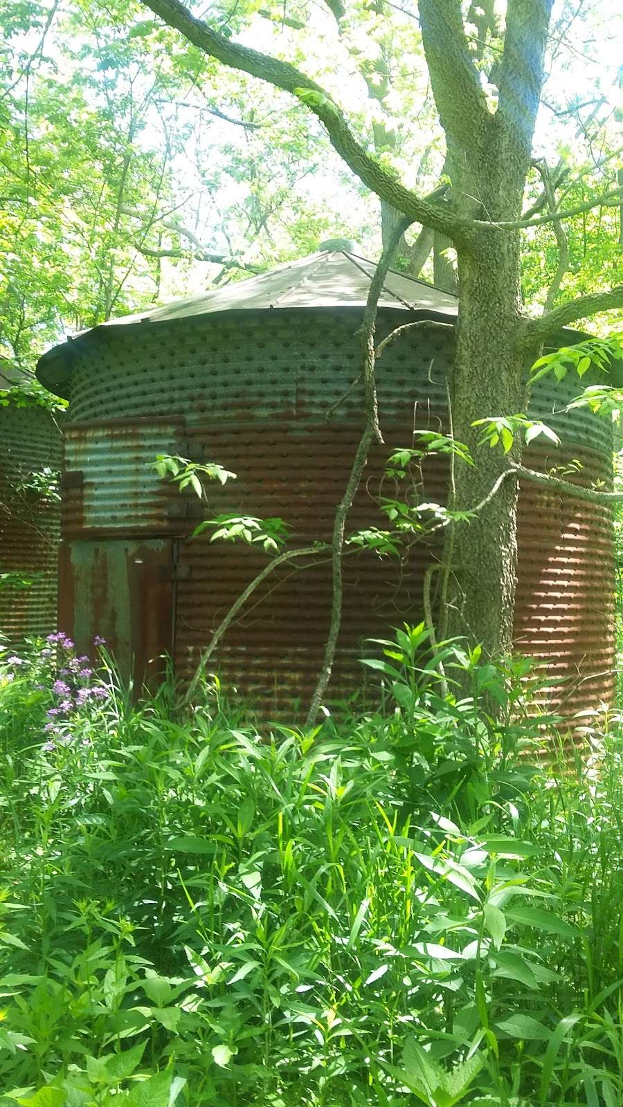 Twin Bridges Loop Trail | East CR-200 South, Danville, IN 46122, USA