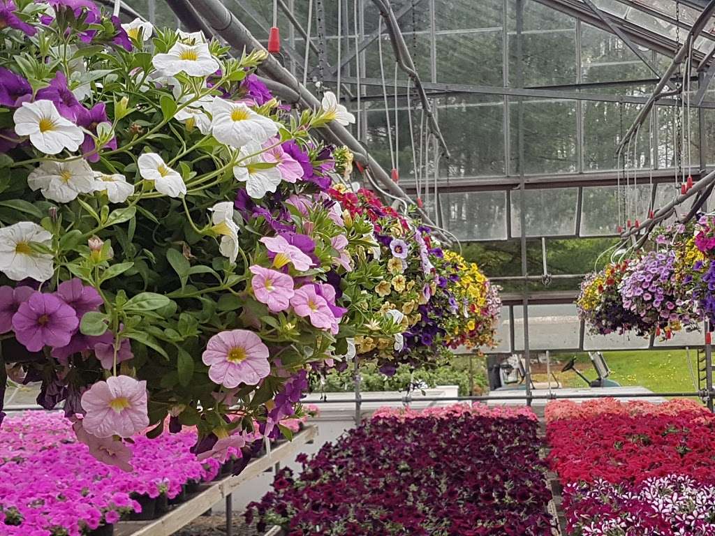 Griers Nursery & Greenhouses | 3229B Grier Nursery Rd, Forest Hill, MD 21050, USA | Phone: (410) 893-2319