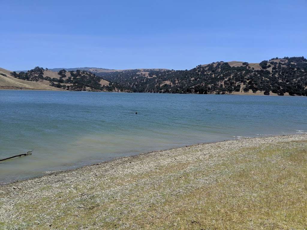 Del Valle Regional Park | 7000 Del Valle Rd, Livermore, CA 94550, USA | Phone: (510) 544-3146